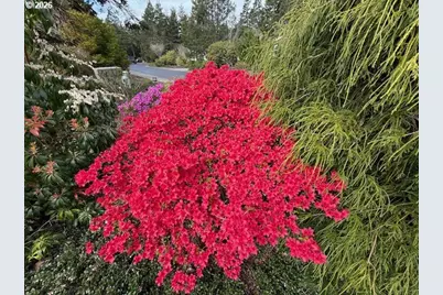 212 Munsel Creek Loop, Florence, OR 97439 - Photo 32