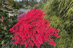 212 Munsel Creek Loop, Florence, OR 97439 - Photo 32