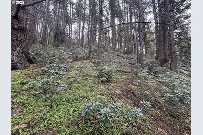 3605 Emerald St, Eugene, OR 97405 - Photo 6