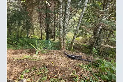 98228 Tuttle Ln, Brookings, OR 97415 - Photo 24