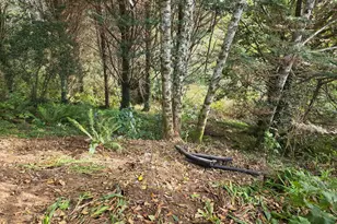 98228 Tuttle Ln, Brookings, OR 97415 - Photo 24