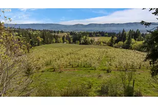 5524 Binns Hill Dr, Hood River, OR 97031 - Photo 40