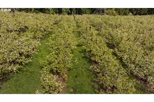 5524 Binns Hill Dr, Hood River, OR 97031 - Photo 42