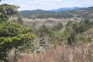 [Address not provided], Oakland, OR 97462 - Photo 16