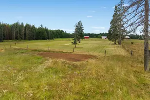 241 Minkler Rd, Winlock, WA 98596 - Photo 44