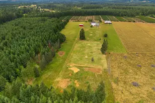 241 Minkler Rd, Winlock, WA 98596 - Photo 46
