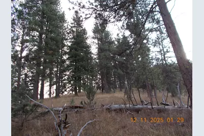 Keeney Fork Rd., Long Creek, OR 97856 - Photo 16