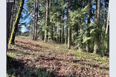 0 SW Walnut St, Tigard, OR 97223 - Photo 6