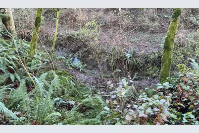 0 SW Walnut St, Tigard, OR 97223 - Photo 12