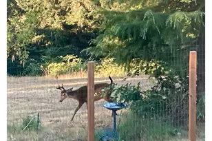 14390 Orchard Knob Rd, Dallas, OR 97338 - Photo 40