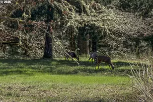 14390 Orchard Knob Rd, Dallas, OR 97338 - Photo 34