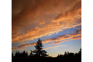 14390 Orchard Knob Rd, Dallas, OR 97338 - Photo 38