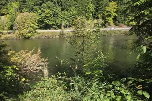 10195 Sweet Creek Rd, Mapleton, OR 97453 - Photo 2