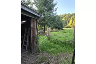 10195 Sweet Creek Rd, Mapleton, OR 97453 - Photo 4