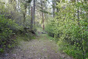 48144 E Pine Creek Rd, Halfway, OR 97834 - Photo 38