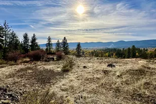 48144 E Pine Creek Rd, Halfway, OR 97834 - Photo 36