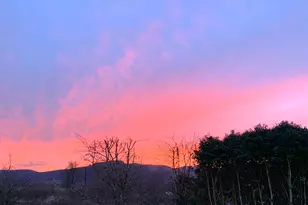 2622 Strasburg Dr, Forest Grove, OR 97116 - Photo 26