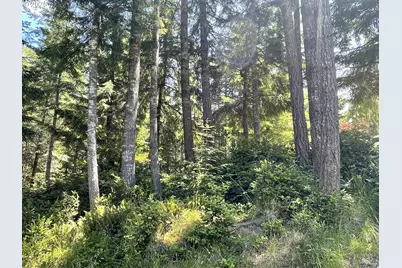 33052 Cedar Valley Rd, Gold Beach, OR 97444 - Photo 14