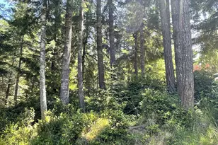 33052 Cedar Valley Rd, Gold Beach, OR 97444 - Photo 14