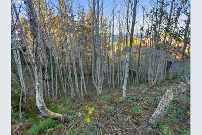 3 Saki Ln, Yachats, OR 97498 - Photo 10