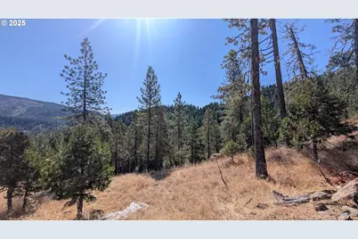 900 Old Cabin Dr, Glide, OR 97443 - Photo 6