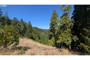 900 Old Cabin Dr, Glide, OR 97443 - Photo 4