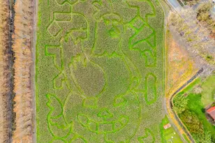 1022-1034 NE Lija Loop, Portland, OR 97211 - Photo 42