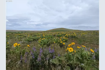 905 Randall Rd #Lot 2, Centerville, WA 98613 - Photo 6