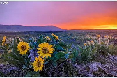 905 Randall Rd #Lot 2, Centerville, WA 98613 - Photo 4