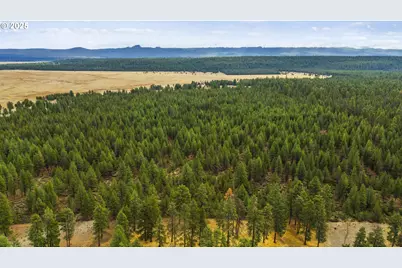 Bare Land, Chiloquin, OR 97624 - Photo 12