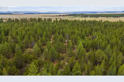 Bare Land, Chiloquin, OR 97624 - Photo 16