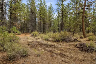 Bare Land, Chiloquin, OR 97624 - Photo 22