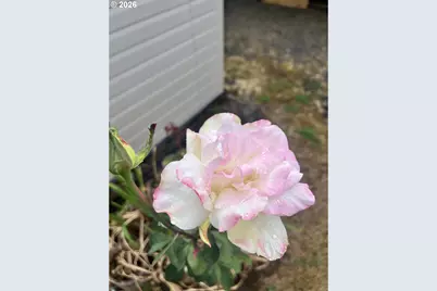 1453 C St, Springfield, OR 97477 - Photo 42