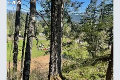 62 Wallace Creek Rd, Carson, WA 98610 - Photo 16