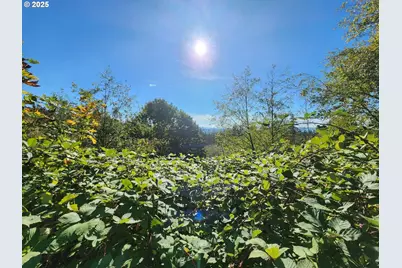 4733 Green Mountain Rd, Kalama, WA 98625 - Photo 16