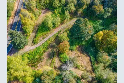 4733 Green Mountain Rd, Kalama, WA 98625 - Photo 6