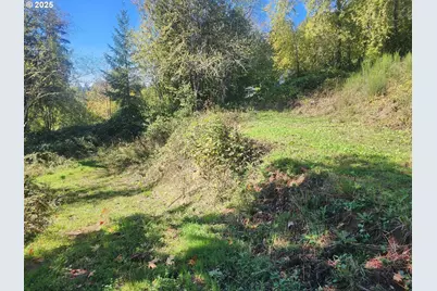 4733 Green Mountain Rd, Kalama, WA 98625 - Photo 10