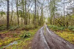 40440 Big Fall Creek Rd, Fall Creek, OR 97438 - Photo 20