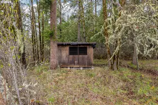 40440 Big Fall Creek Rd, Fall Creek, OR 97438 - Photo 24