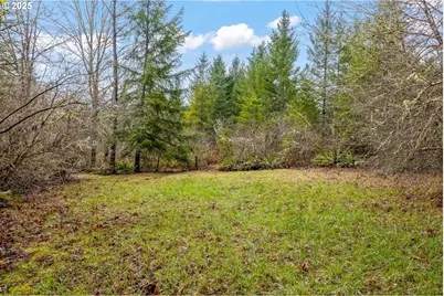 40440 Big Fall Creek Rd, Fall Creek, OR 97438 - Photo 28