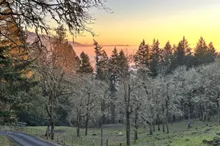 35001 Northernwood Dr, Brownsville, OR 97327 - Photo 42