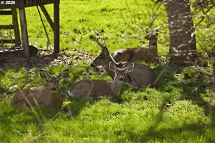 1829 E 8th St, The Dalles, OR 97058 - Photo 38