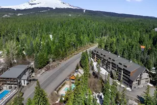 31244 E Collins Lake Rd, Government Camp, OR 97028 - Photo 2