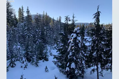 31244 E Collins Lake Rd #21, Government Camp, OR 97028 - Photo 2