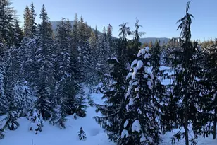 31244 E Collins Lake Rd, Government Camp, OR 97028 - Photo 2