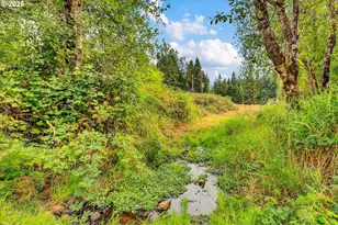 [Address not provided], Scotts Mills, OR 97375 - Photo 44