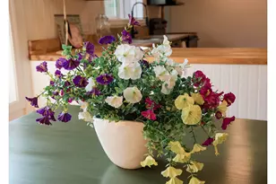 60813 Canyon Creek Ln, Canyon City, OR 97820 - Photo 10