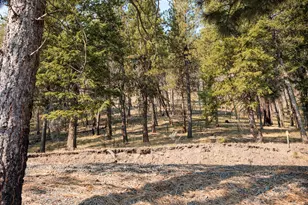 60813 Canyon Creek Ln, Canyon City, OR 97820 - Photo 36