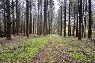 23939 Raze Rd, Elmira, OR 97437 - Photo 40