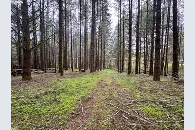23939 Raze Rd, Elmira, OR 97437 - Photo 38